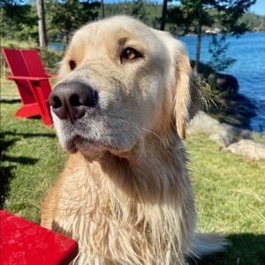 Meet your Posher, James